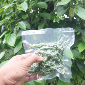 Tiêu Xanh Tươi Nguyên Chùm 500g - Đặc Sản Đắk Nông Chuẩn Vườn, Gói Lớn Tiết Kiệm